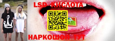 mix Бердск