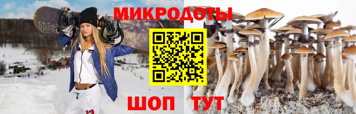 Кулебаки  Галлюциногенные грибы Psilocybine cubensis  Галлюциногенные грибы MAGIC MUSHROOMS  Вход с VPN 